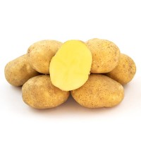 Продаємо картоплю