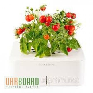 Умный вазон мини томаты Click Grow smartpot (CGS5EN)