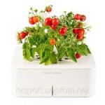 Умный вазон мини томаты Click Grow smartpot (CGS5EN)