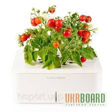 Фото 3. Умный вазон мини томаты Click Grow smartpot (CGS5EN)