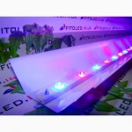 ФитоСветильники, LED освещение теплиц