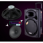 Громкая акустика с радиомикрофонами DP-2305BT (Bluetooth/Радио/USB)