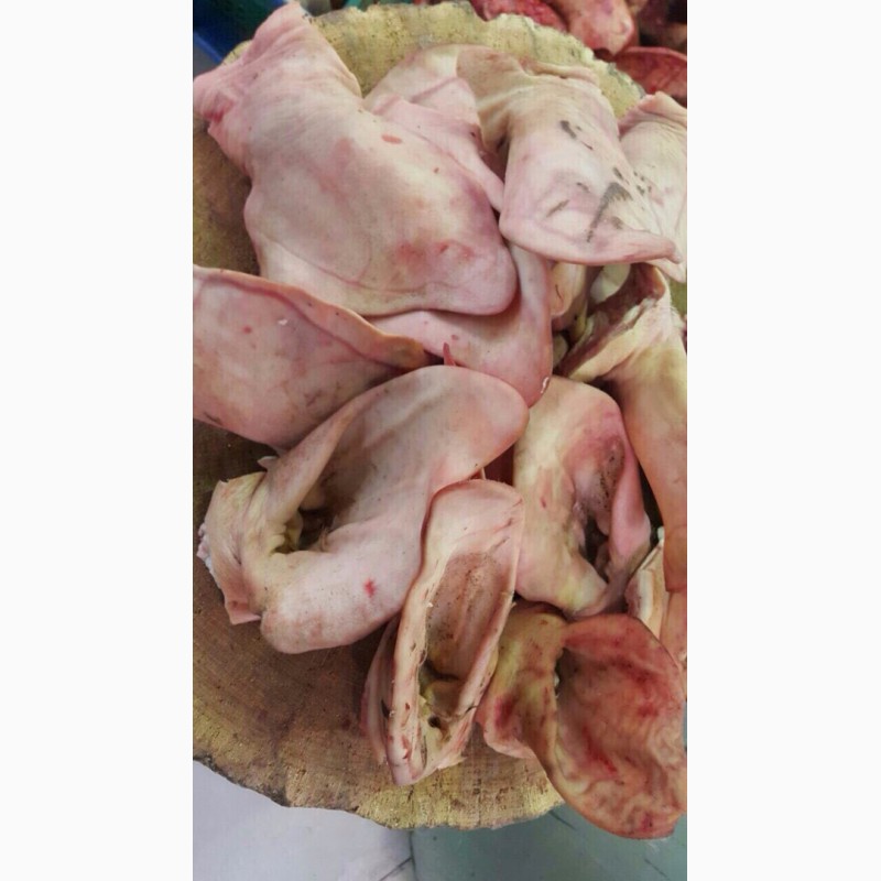 Фото 4. ООО« Амтек Трейд» предлагает замороженные свиные уши и хвосты
