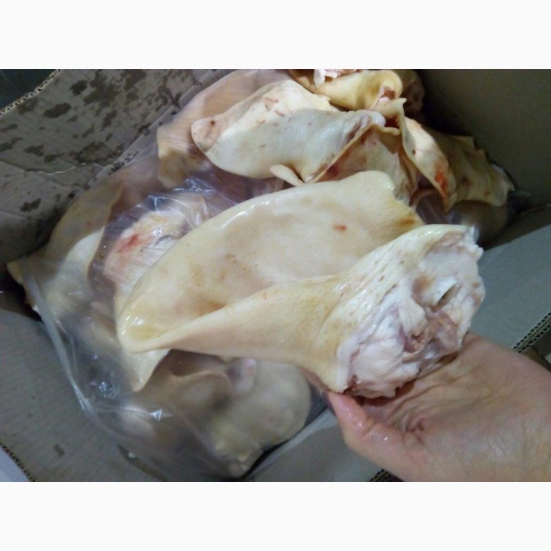 Фото 7. ООО« Амтек Трейд» предлагает замороженные свиные уши и хвосты
