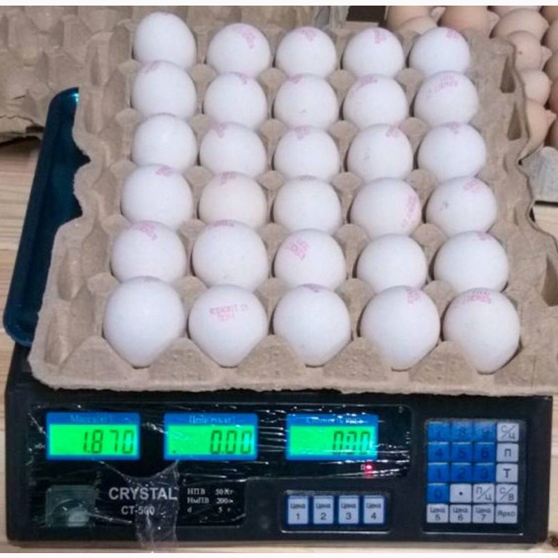 Фото 14. Продам яйцо куриное в асортименте, ОПТ, Киев