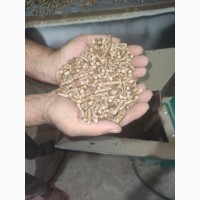 Продаж пеллет паливних із деревини хвойних порід, сосна