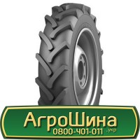 Шина IF 560/60 - 22.5, IF 560/60 -22.5, IF 560 60 - 22.5 AГРOШИНA