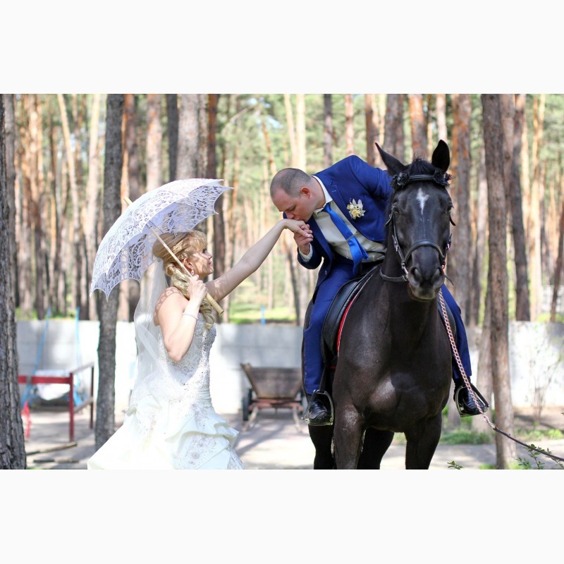 Фото 2. Фотограф на свадьбу недорого Днепр (Днепропетровск)