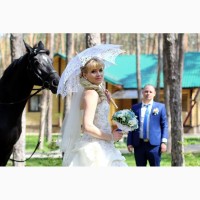 Фотограф на свадьбу недорого Днепр (Днепропетровск)