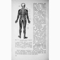 Анатомія і фізіологія людини. Гайда С. П