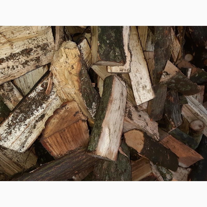 Фото 3. Продаём дрова Херсон и Херсонская область
