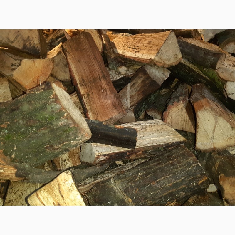 Фото 4. Продаём дрова Херсон и Херсонская область