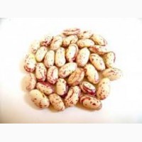 Куплю - продам : фасоль, орехи, тиквенную семечку
