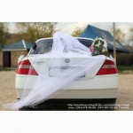 Аренда свадебных украшений на авто в Одессе и Южном