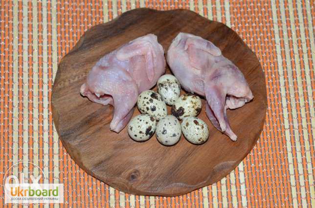 Фото 3. Свежайшие, домашние вкусные яйца и мясо перепелов.(оптом и в розницу)