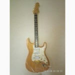 Fender Stratocaster deluxe series Maxico