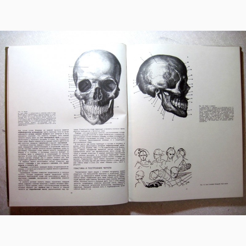 Фото 16. Рабинович Пластическая анатомия и изображение человека на ее основах 1985 объёмное построе