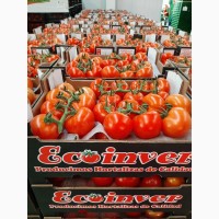 Овощи от производителя, ECOINVER Испания