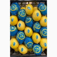 Прямые продажи Лимонов из Турции