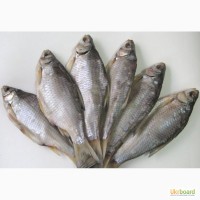 Продам сушеную, вяленую рыбу: лещ, плотва, окунь, судак