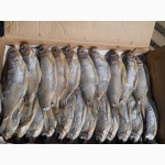 Продам сушеную, вяленую рыбу: лещ, плотва, окунь, судак