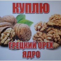 Грецкий орех