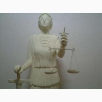 Адвокат. Гражданские споры