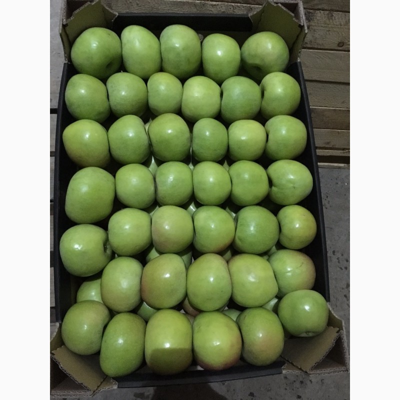 Фото 3. Продам яблука з ПДВ