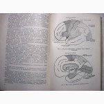 Судебная психиатрия 1947 Юриздат Учебник для юридических школ Бунеев Фейнберг