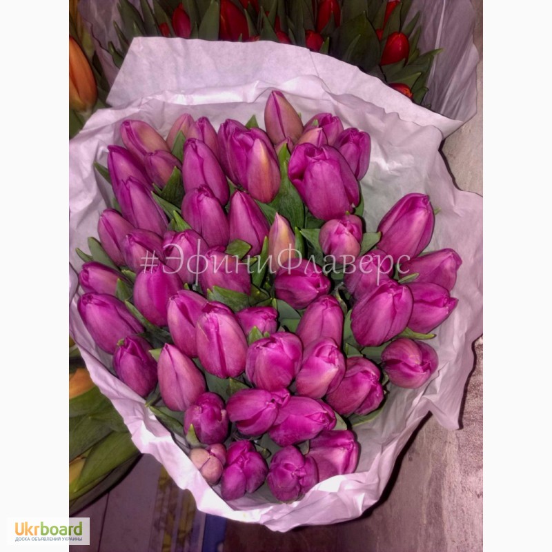 Фото 2. Тюльпаны к 8 марта 2019 из Голландии/тюльпани до 8 березня