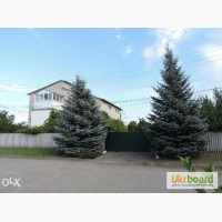 Продам дом в Новопскове