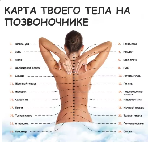 Фото 2. Профессиональный массаж спины шеи реабилитолог мануальный терапевт Чоколовка