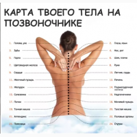 Профессиональный массаж спины шеи реабилитолог мануальный терапевт Чоколовка