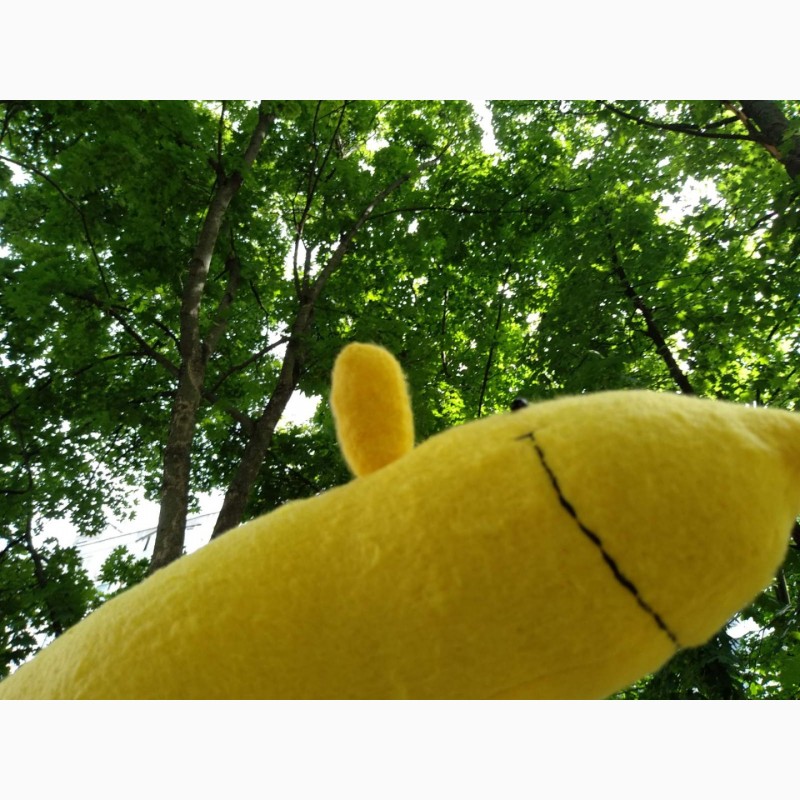 Фото 4. Ручной банановый плюш