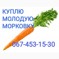 Куплю молодую морковку