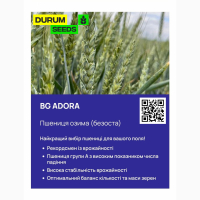 Насіння пшениці - БГ Адора (BG Adora) пшениця м#039; яка озима (Biogranum D.O.O.)