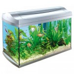 Нано аквариумы, маленькие аквариумы от 2 до 60 литров