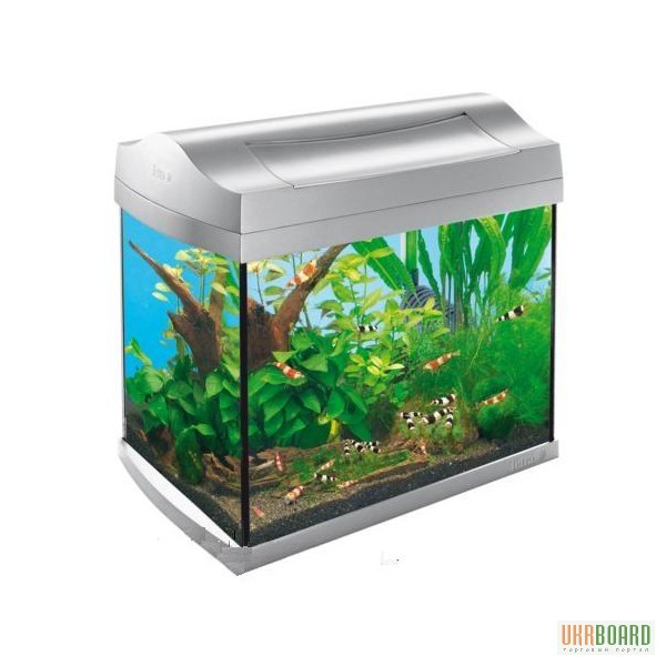 Фото 14. Нано аквариумы, маленькие аквариумы от 2 до 60 литров