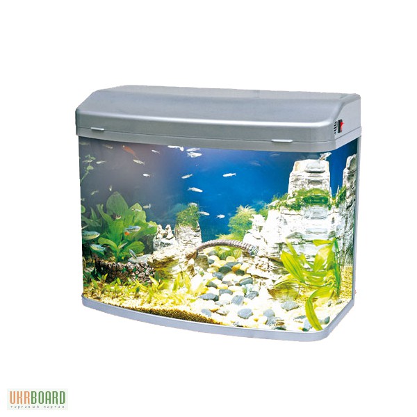 Фото 9. Нано аквариумы, маленькие аквариумы от 2 до 60 литров