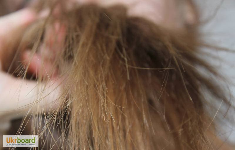 Фото 3. Полировка волос - Шлифовка волос стрижка посеченных кончиков