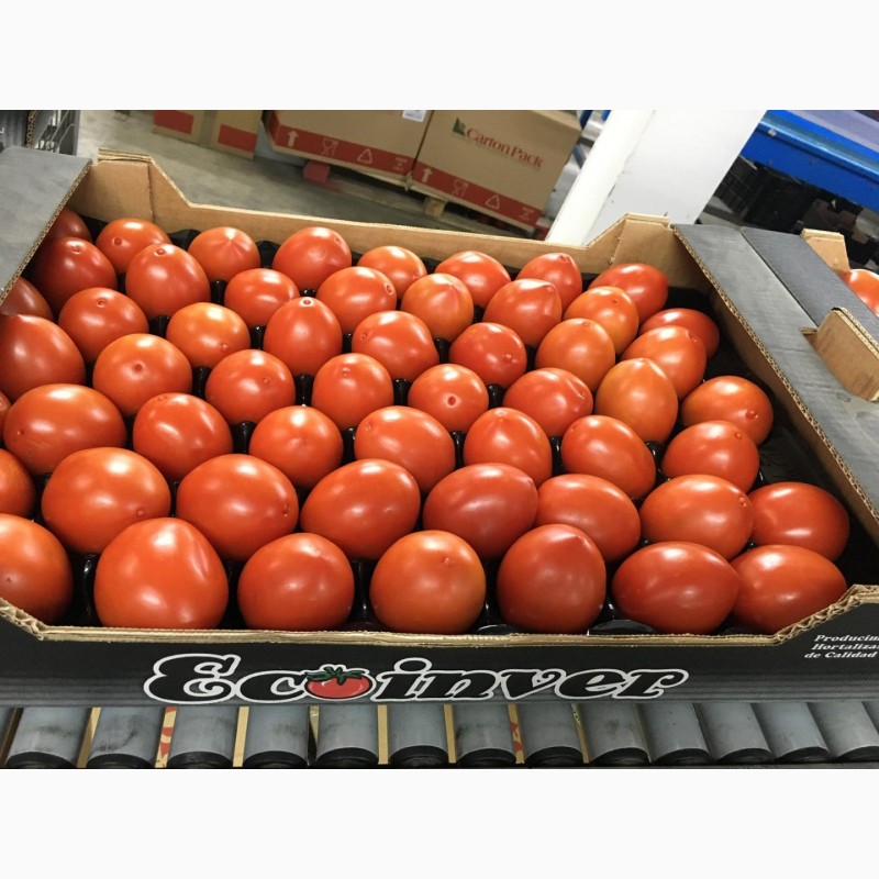 Фото 3. Купить томат оптом. Свежие овощи оптом от Производителя, Испания