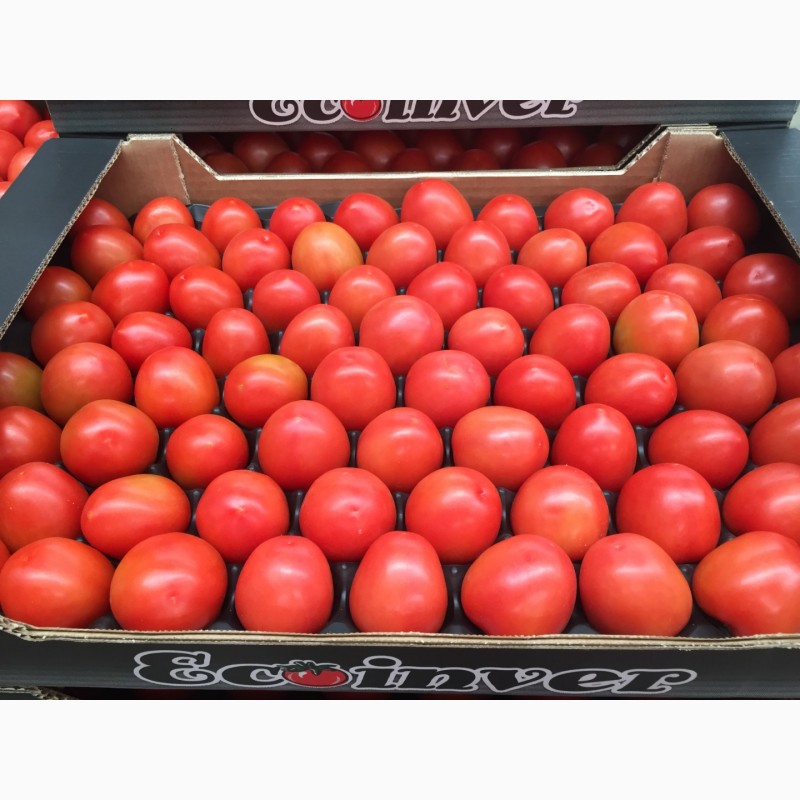 Фото 5. Купить томат оптом. Свежие овощи оптом от Производителя, Испания