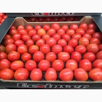 Купить томат оптом. Свежие овощи оптом от Производителя, Испания
