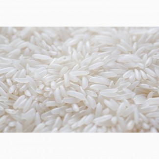 Рис длинный оптом