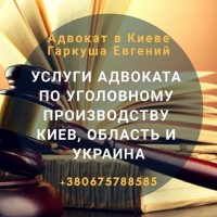Адвокат по уголовным делам Киев