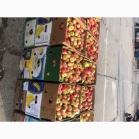 Продам яблуко врожай 2021 року