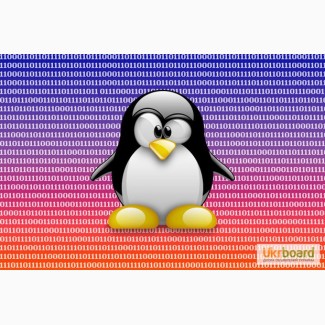 Курсы Linux (Ubuntu) для Вас