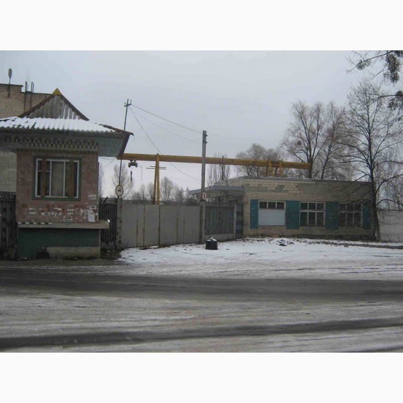 Фото 10. Продам два кирпичных небольших здания ( на фасаде ), город Ирпень, центр, Киев 9 км
