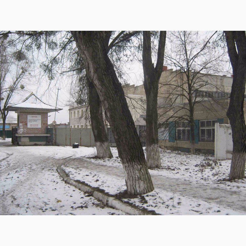 Фото 3. Продам два кирпичных небольших здания ( на фасаде ), город Ирпень, центр, Киев 9 км
