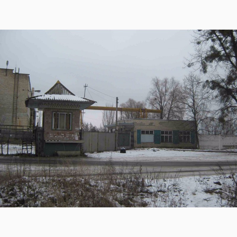Фото 5. Продам два кирпичных небольших здания ( на фасаде ), город Ирпень, центр, Киев 9 км